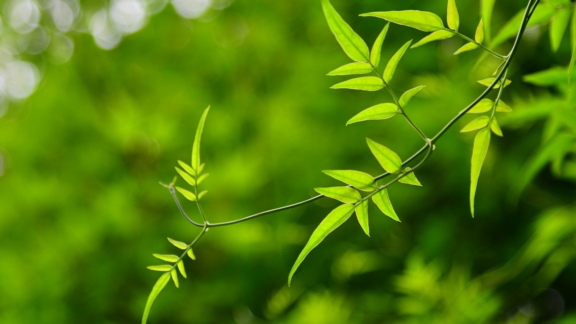 整合营销传播方案的五种方法(试述实施整合营销传播方案的五种方法)